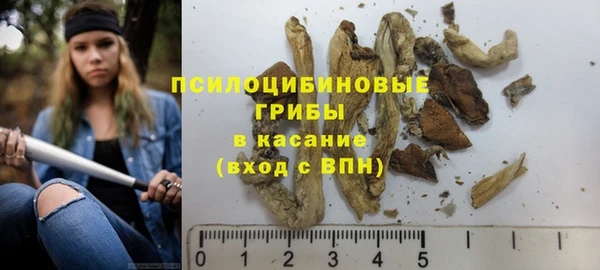 бошки Армянск