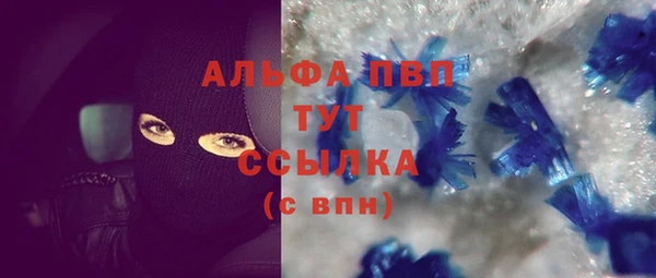 молекула духа Арсеньев