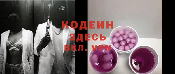 молекула духа Арсеньев