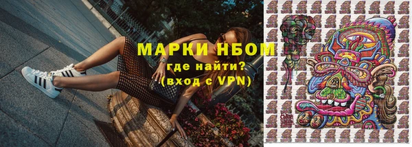 молекула духа Арсеньев