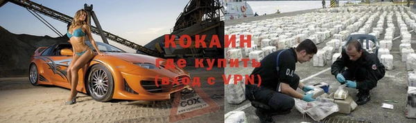 молекула духа Арсеньев
