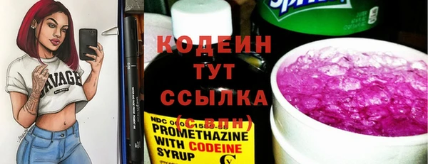 молекула духа Арсеньев